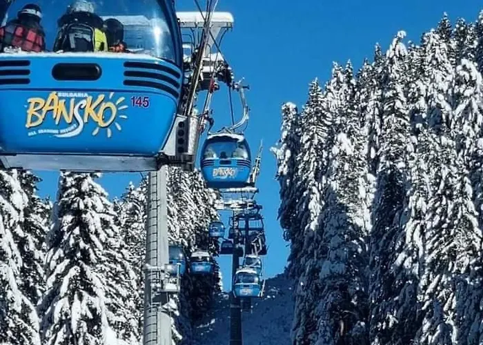 アパート Belvedere B303