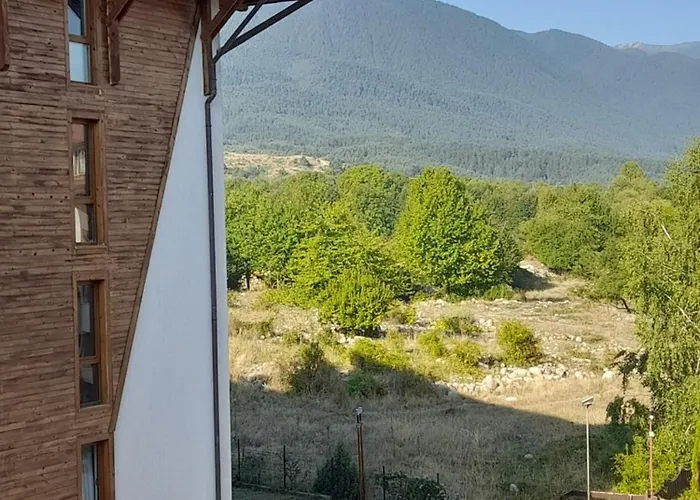 Belvedere B303 * バンスコ